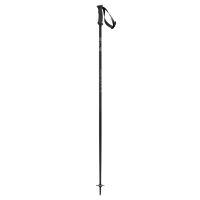 Scott Pole 540 Pro black
